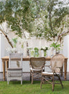 Sedia Edelina con rattan, per arredo interno con braccioli, 55 x 62 x h 96 cm