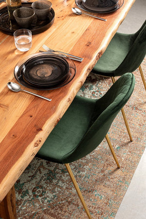 Sedia "Terry" con gambe in tubolare di acciaio con cromatura dorata, per arredo interno 48 x 55 x h 85 cm