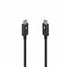 Lindy 31130 Cavo Thunderbolt 1 m 80 Gbit/s Nero (1m Thunderbolt 5 Cable, - 80Gbps, Passive)