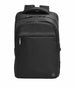 HP Zaino Professional da 17,3 (Professional 17.3-Inch - Backpack - Warranty: 12M)
