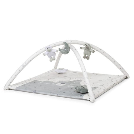 Palestrina Foppapedretti Trainer