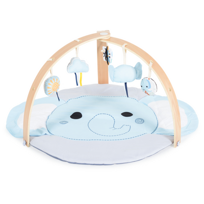 Centro Attività Moni Trade Elephant