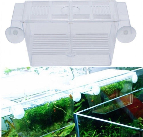 INCUBATRICE CASSETTA PER ACQUARIO PER ALLEVAMENTO SEPARA PESCI PROTEGGI UOVA Prodotti per animali domestici/Pesci e animali d'acqua/Sale parto Trade Shop italia - Napoli, Commerciovirtuoso.it