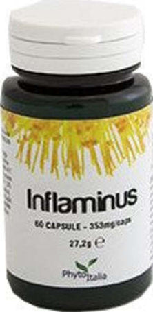 INFLAMINUS-60-CAPSULE