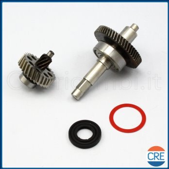 Ingranaggi-Motore-e-Cuscinetto-per-N1203-Succovivo-SJ2000