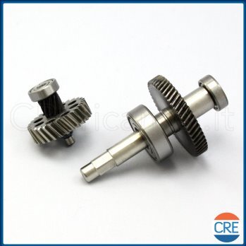 Ingranaggi-Motore-e-Cuscinetto-per-Succovivo-SJ1000,-SJ1400