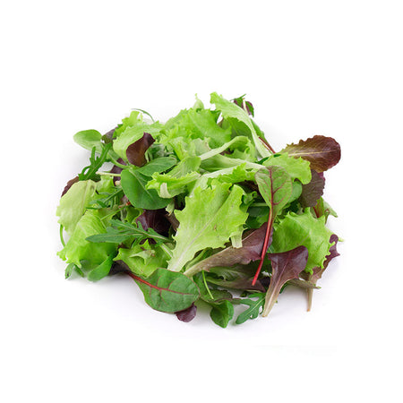 Semi di misticanza di lattughe piante per orto e giardino coltivazione domestica e professionale