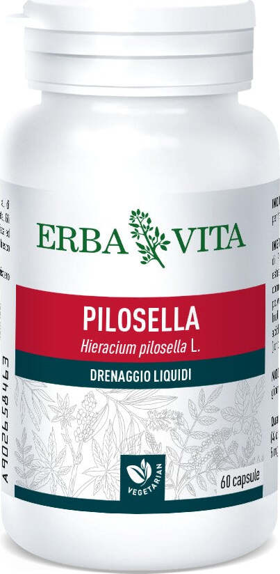Integratore-alimentare-Pilosella-60-capsule-Erba-Vita