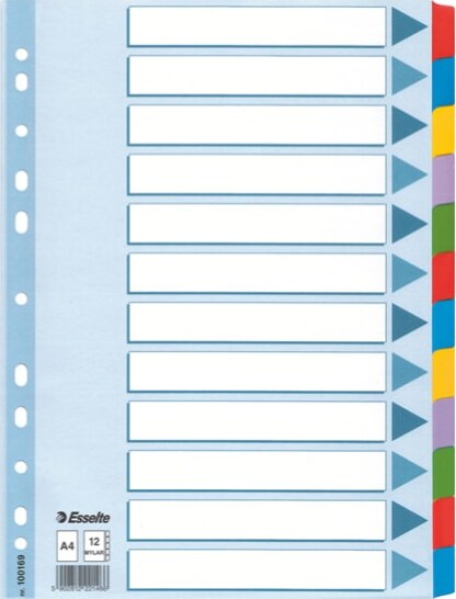 Intercalare Mylar -12 tasti colorati - A4- Esselte Cancelleria e prodotti per ufficio/Archivio ufficio e accessori per scrivania/Archivio ufficio/Cartelle sospese e accessori/Indici per cartelle sospese Eurocartuccia - Pavullo, Commerciovirtuoso.it