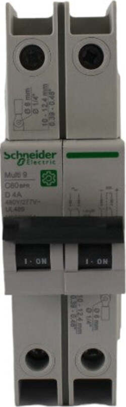 Interruttore-magnetotermico-2x4A-10KA-CURVA-D-UL-Schneider-Electric