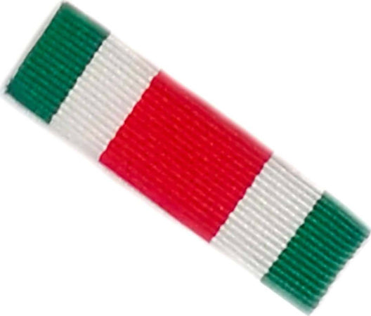 Interventi Di Pubbliche Calamità - Nastro / Nastrino / Medaglia Sport e tempo libero/Accessori/Trofei medaglie e premi/Medaglie Il Distintivo - Pesaro, Commerciovirtuoso.it