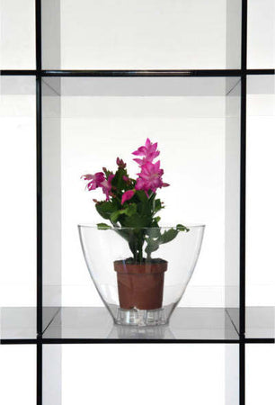 IPLEX CACHEPOT SERBATOIO OVALE TRASPARENTE Giardino e giardinaggio/Attrezzi da giardino e attrezzature per l'irrigazione/Vasi e accessori per piante/Vasi tradizionali Scontolo.net - Potenza, Commerciovirtuoso.it