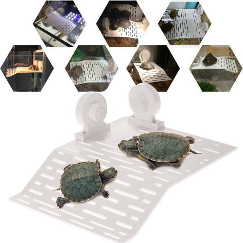 ISOLA GALLEGGIANTE PER TARTARUGA TARTARUGHE RETTILE CON 2 VENTOSE ACQUARIO Prodotti per animali domestici/Rettili e anfibi/Arredi per habitat/Rocce Trade Shop italia - Napoli, Commerciovirtuoso.it