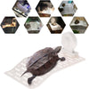 ISOLA GALLEGGIANTE PLASTICA CON VENTOSA PIATTAFORMA TARTARUGHE RETTILI ACQUARIO Prodotti per animali domestici/Rettili e anfibi/Arredi per habitat/Rocce Trade Shop italia - Napoli, Commerciovirtuoso.it