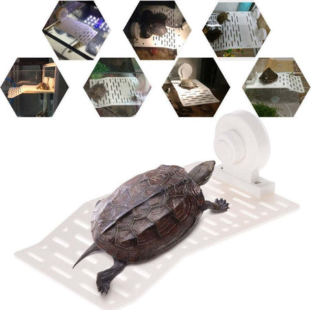 ISOLA GALLEGGIANTE PLASTICA CON VENTOSA PIATTAFORMA TARTARUGHE RETTILI ACQUARIO Prodotti per animali domestici/Rettili e anfibi/Arredi per habitat/Rocce Trade Shop italia - Napoli, Commerciovirtuoso.it