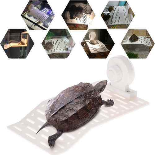 ISOLA GALLEGGIANTE PLASTICA CON VENTOSA PIATTAFORMA TARTARUGHE RETTILI ACQUARIO Prodotti per animali domestici/Rettili e anfibi/Arredi per habitat/Rocce Trade Shop italia - Napoli, Commerciovirtuoso.it