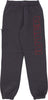 IUTER-Pantalone-Tuta-Felpato-Uomo-Family-Sweatpant-Asphalt-da-uomo