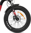Jeep-Phoenix-Bicicletta-Elettrica-Pieghevole-Pedalata-Assistita-E-bike