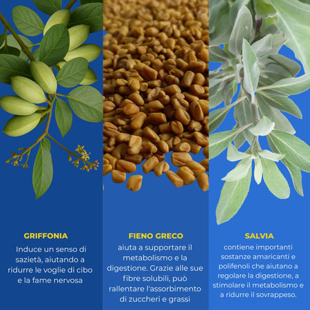 Brucia Grassi Notturno con Griffonia e Melatonina – Integratore Keto per il Metabolismo Attivo e Sonno Rilassante - Ideale per la Dieta Chetogenica | Keto Notte AlohaLabs 60 Compresse