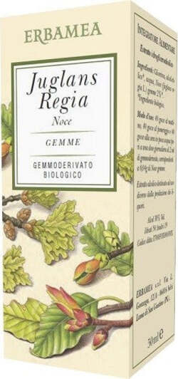 JUGLANS-REGIA-NOCE-Gemmoderivato-50-ml-Erbamea