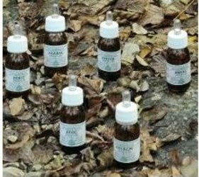 KA-PLANTA-OLIO-MASSAGGIO-30-ML-ALCHEMICA-VALGELATA