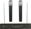 KIT COPPIA MICROFONI PROFESSIONALI WIRELESS CON CENTRALINA VHF BICANALI VHF200 Strumenti Musicali/Microfoni/Set di microfoni Trade Shop italia - Napoli, Commerciovirtuoso.it