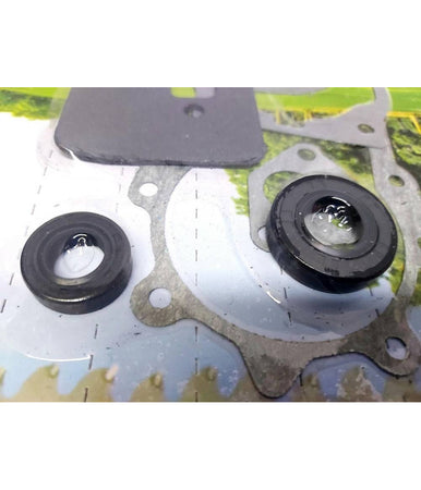 Kit Guarnizioni Paraoli Decespugliatore Tagliaerba Mitsubishi 43 52cc Vigor 231