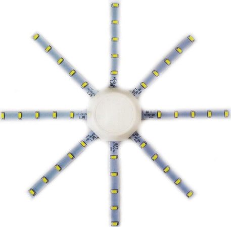 KIT LED SMD 20W CORONA SOSTITUZIONE PLAFONIERE ALOGENE BIANCO FREDDO NATURALE Illuminazione/Lampadine/Lampadine a LED Trade Shop italia - Napoli, Commerciovirtuoso.it