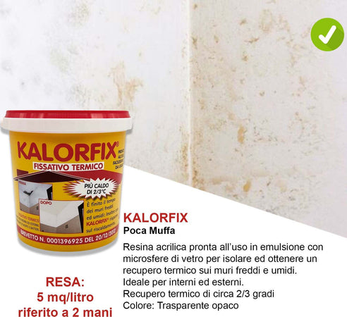 Kit-Poca-Muffa-per-4/5-mq:-Muffa-Ko-lt.1-+-Kalorfix-lt.1-+-TermicaMix-lt.1-+-MasterPaint-lt.1