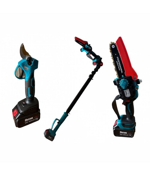Kit Potatura Forbice Cesoia + Motosega 6 A Batteria 68v + Asta Telescopica Cd616
