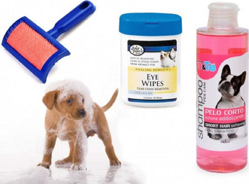 Kit Pulizia Cani Shampoo Azione Addolcente Salviettine Spazzola Cardatore Pelo Corto Prodotti per animali > Prodotti per Cani > Accessori per Cani Trade Shop italia - Napoli, Commerciovirtuoso.it