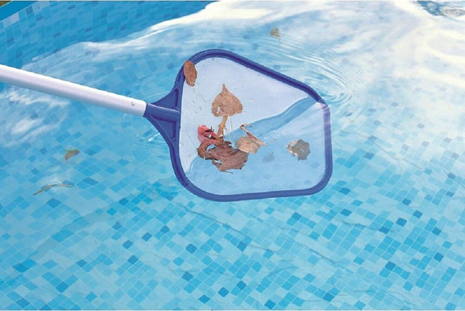 Kit Pulizia Standard 203cm Per Manutenzione Piscine Fino A Diametro 366 Cm 58013 Sport e tempo libero/Caccia e Pesca/Caccia/Accessori per pistola/Canne Trade Shop italia - Napoli, Commerciovirtuoso.it