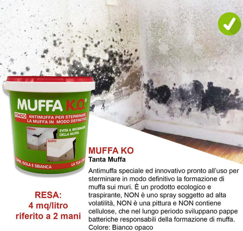Kit-Tanta-Muffa-per-4/5-mq:-Muffa-Ko-lt.1-+-Kalorfix-lt.1-+-FreddoStop-lt.1-+-TermicaMix-lt.1-+-MasterPaint-lt.1
