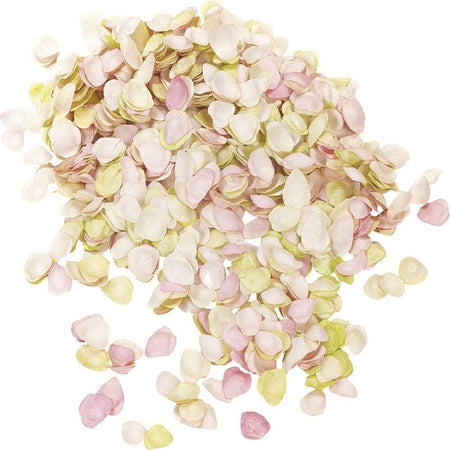 KNORR-PRANDELL---DECORAZIONI-DI-PETALI-DI-ROSA-5-MM---14-GR