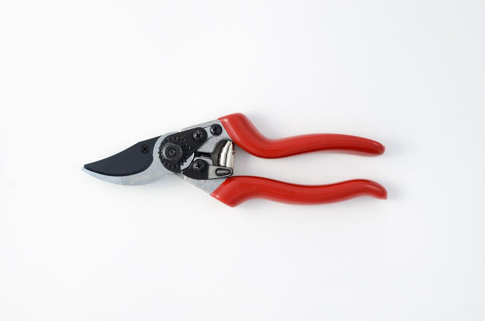 Forbici da pota per giardino e agricoltura "By-pass KS8T" vigneti e frutteti da 22 cm