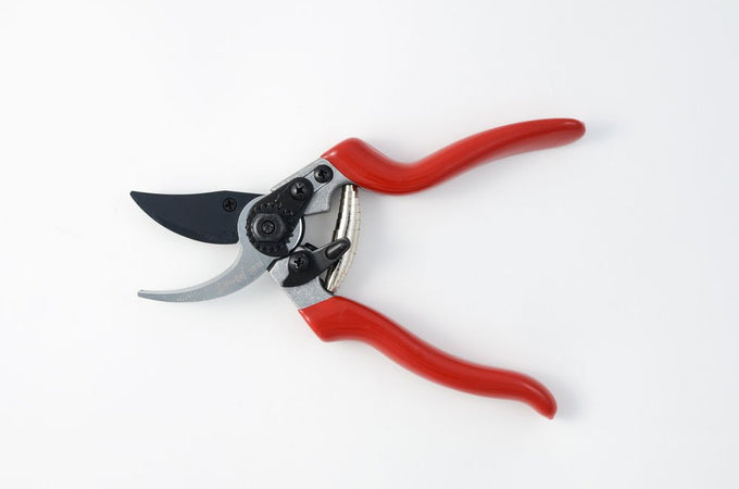 Forbici da pota per giardino e agricoltura "By-pass KS8T" vigneti e frutteti da 22 cm
