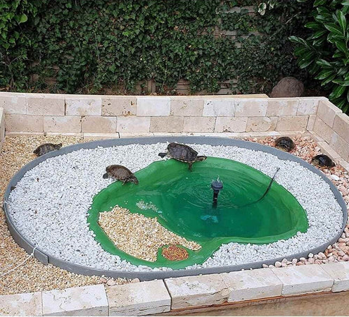 Laghetto Trionix per Tartarughe Verde Litri 80 Dimensioni 108x77xh28 Giardino e giardinaggio/Decorazioni per il giardino/Stagni e giardini acquatici/Basi e guarnizioni/Stagni artificiali Ogomondo - Martina Franca, Commerciovirtuoso.it