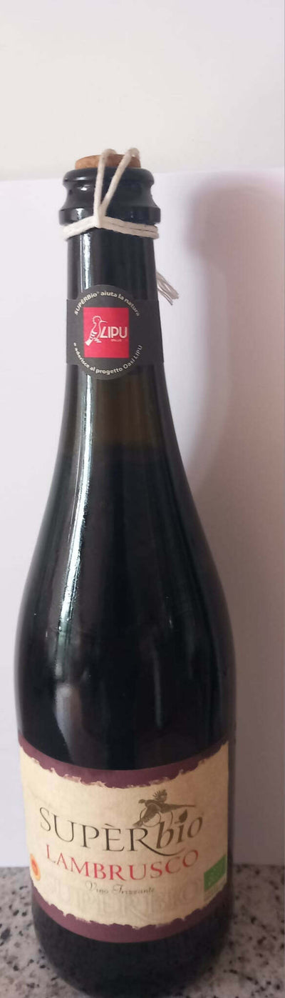 WhatsApp Image 2024-10-06 at 15.48.44