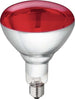 Lampada ad infrarossi riscaldante per riflettore pulcini e cuccioli 150 w Commercio Industria e Scienza/Attrezzature e forniture agricole/Pollame piccioni e selvaggina/Attrezzature per gestione delle uova/Incubatrici La Zappa - Altamura, Commerciovirtuoso.it