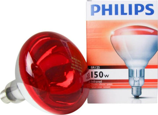 Lampada ad infrarossi riscaldante per riflettore pulcini e cuccioli 150 w Commercio Industria e Scienza/Attrezzature e forniture agricole/Pollame piccioni e selvaggina/Attrezzature per gestione delle uova/Incubatrici La Zappa - Altamura, Commerciovirtuoso.it