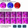 Lampada Da Coltivazione Piante A Led 80 Led Flessibile Serra Coltura Idroponica Articoli da Giardino > Illuminazione da esterno > Lampade per esterno Trade Shop italia - Napoli, Commerciovirtuoso.it