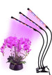 Lampada Da Coltivazione Piante A Led Flessibile Serra Coltura Idroponica 3 Steli Articoli da Giardino > Illuminazione da esterno > Lampade per esterno Trade Shop italia - Napoli, Commerciovirtuoso.it