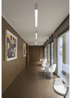 Product Image-2