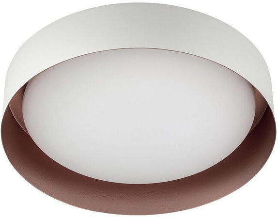 Product Image-4
