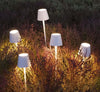 Product Image-1