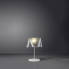 Lampada-Da-Tavolo-Moderna-1-Luce-Wanda-In-Polilux-Silver-D35-Made-In-Italy
