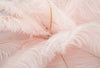 Lampada-Da-Tavolo-Palm-Rosa-Cm-40X55