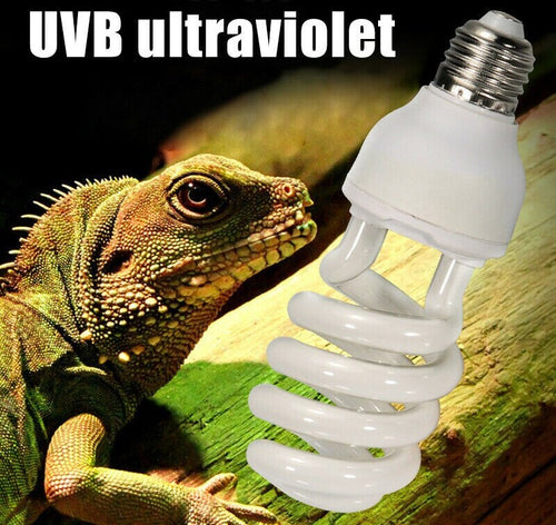 Lampada Fluorescente Uvb 10.0 Luce Solare Rettili Habitat Estremamente Luminoso Illuminazione Acquario Trade Shop italia - Napoli, Commerciovirtuoso.it