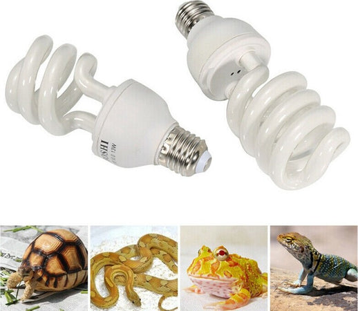 Lampada Fluorescente Uvb 10.0 Luce Solare Rettili Habitat Estremamente Luminoso Illuminazione Acquario Trade Shop italia - Napoli, Commerciovirtuoso.it