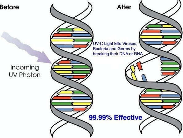 LAMPADA GERMICIDA ANTIBATTERICA PORTATILE STERILIZZANTE A LUCE UV ELIMINA GERMI  Trade Shop italia - Napoli, Commerciovirtuoso.it